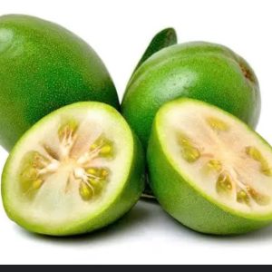פג׳ויה